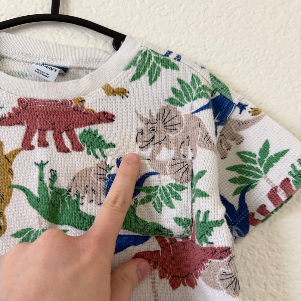Matching Dinosaur Set - Picture 6 of 11